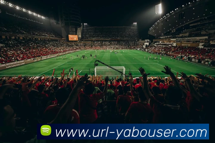 多媒体互动体验